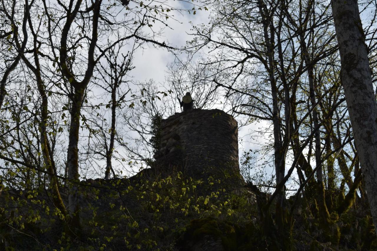 Hôtel Le Mélèze Moirans-en-Montagne Exterior foto